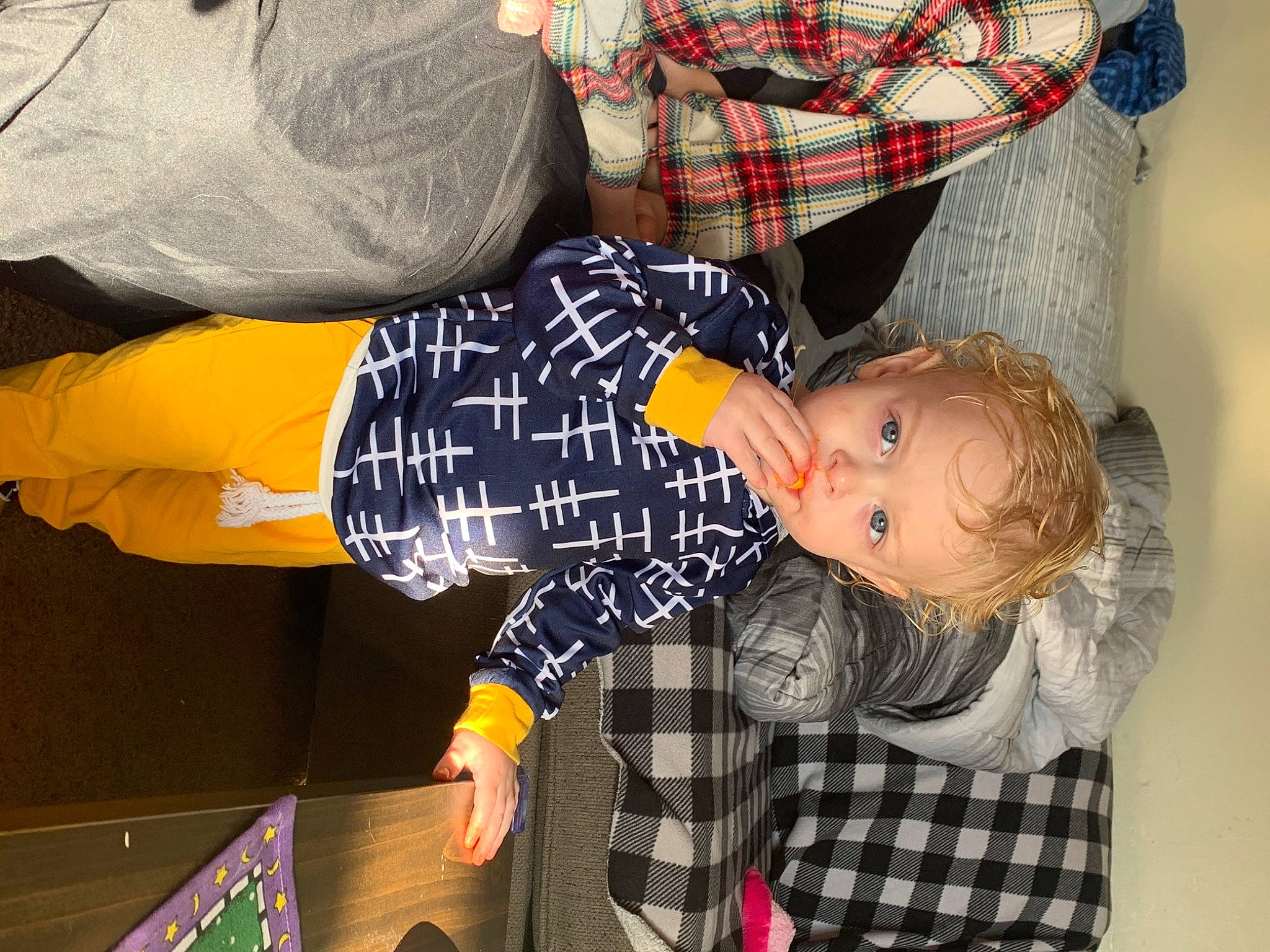 Archer joined the competition — help win amazing prizes! baby_toddler_clothing, child, costume, fun, lap, pattern, person, plaid, room, sleeve, tartan, textile, toddler, toy