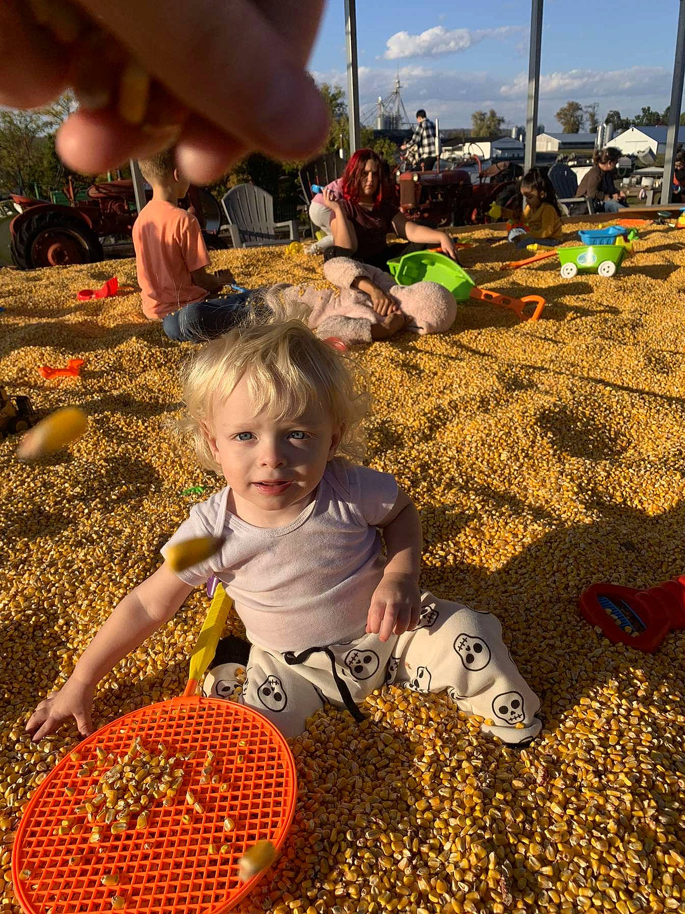 Archer joined the competition — help win amazing prizes! adaptation, child, city, cloud, fun, grass, green, landscape, leaf, leisure, local_food, natural_foods, people_in_nature, person, play, recreation, sand, sky, soil, t_shirt