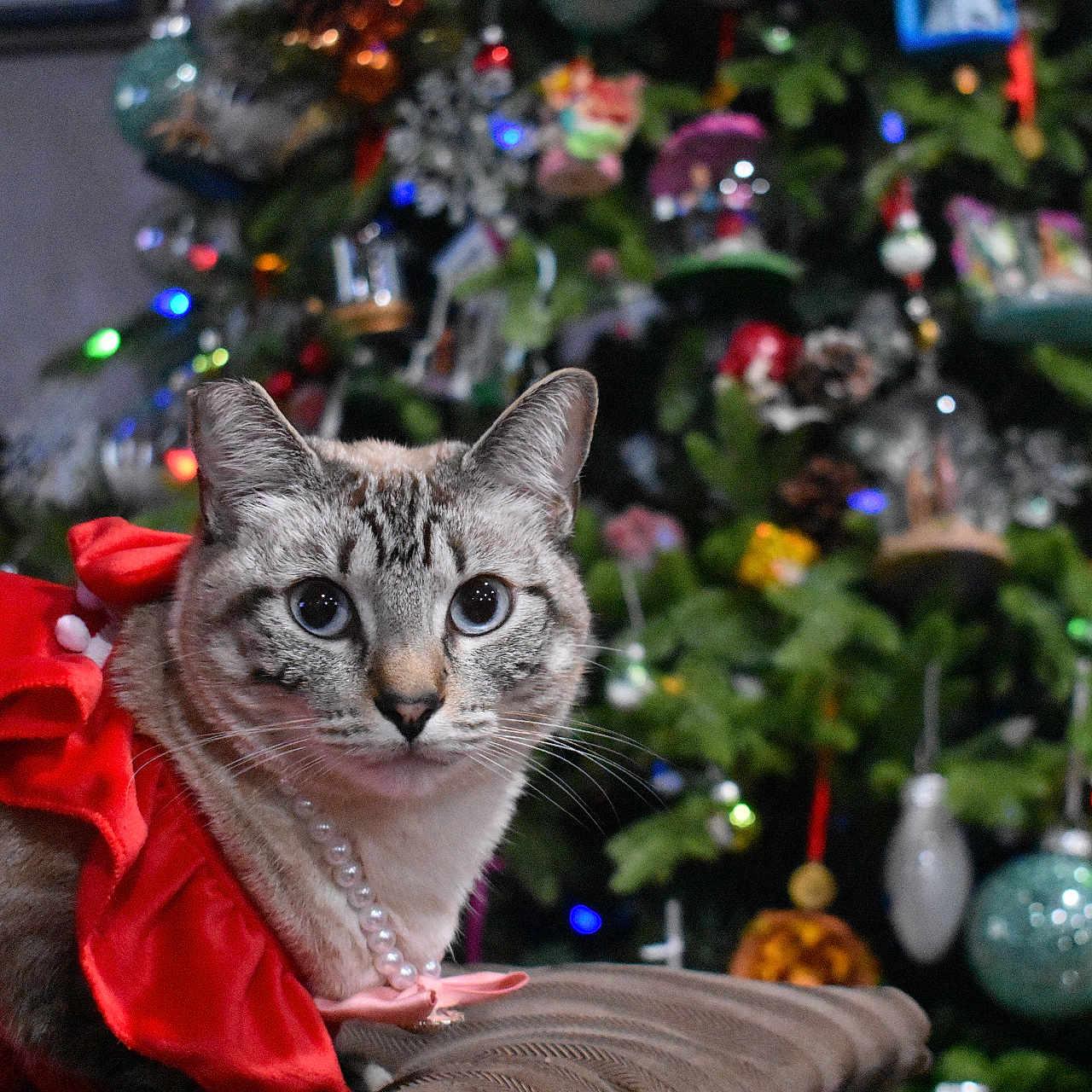 Marie