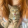 Charlie is registered to the contest to win money with this photo: kitten, cat, tabby, pet, collar, person, red_hair, tattoos, hand, white_clothing, closeup, indoor, cute, animal, feline, smiling, happy, fur, whiskers, portrait