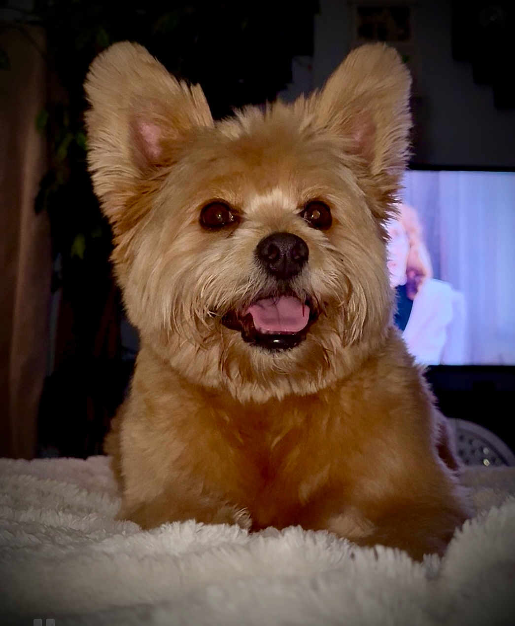 Charlie