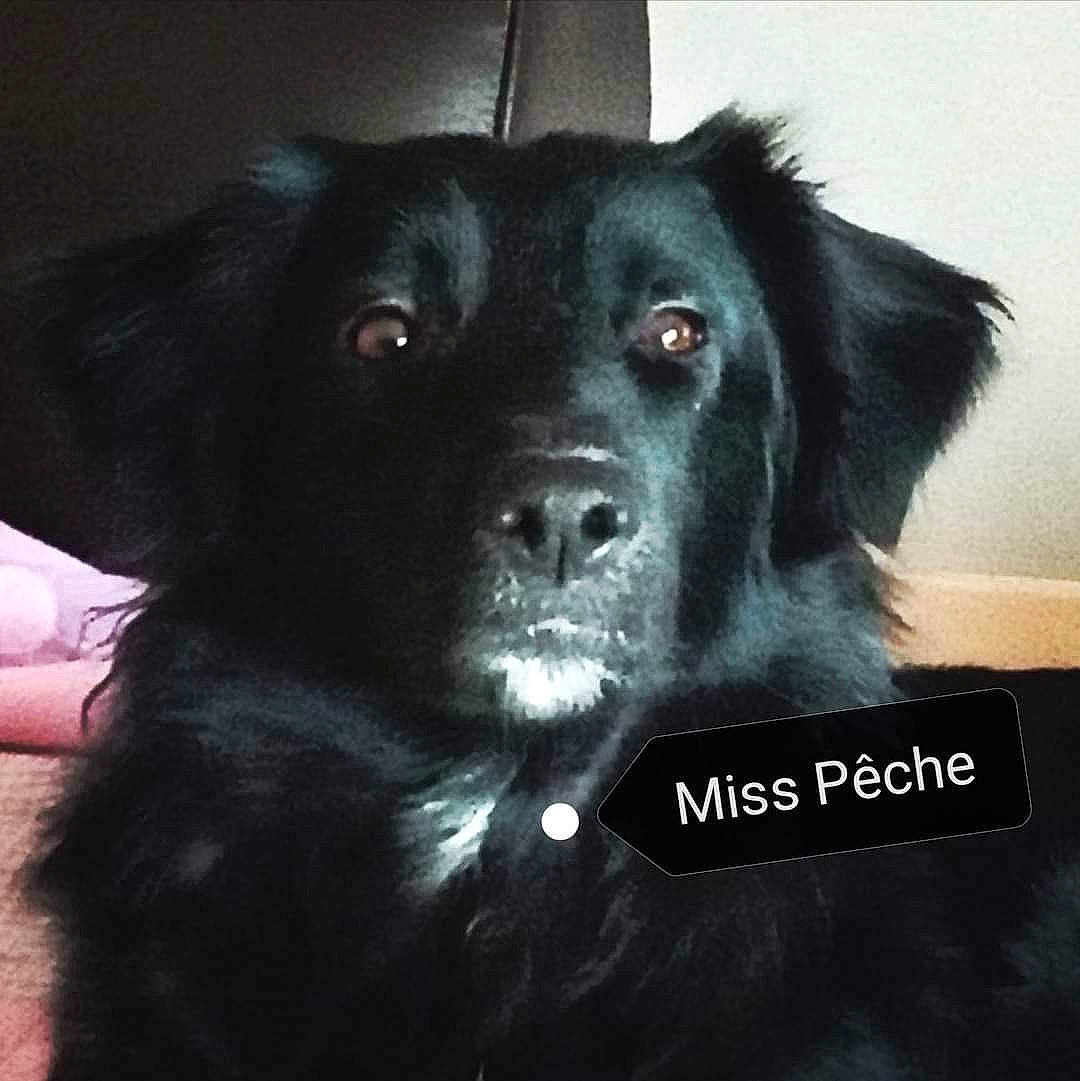 Pêche