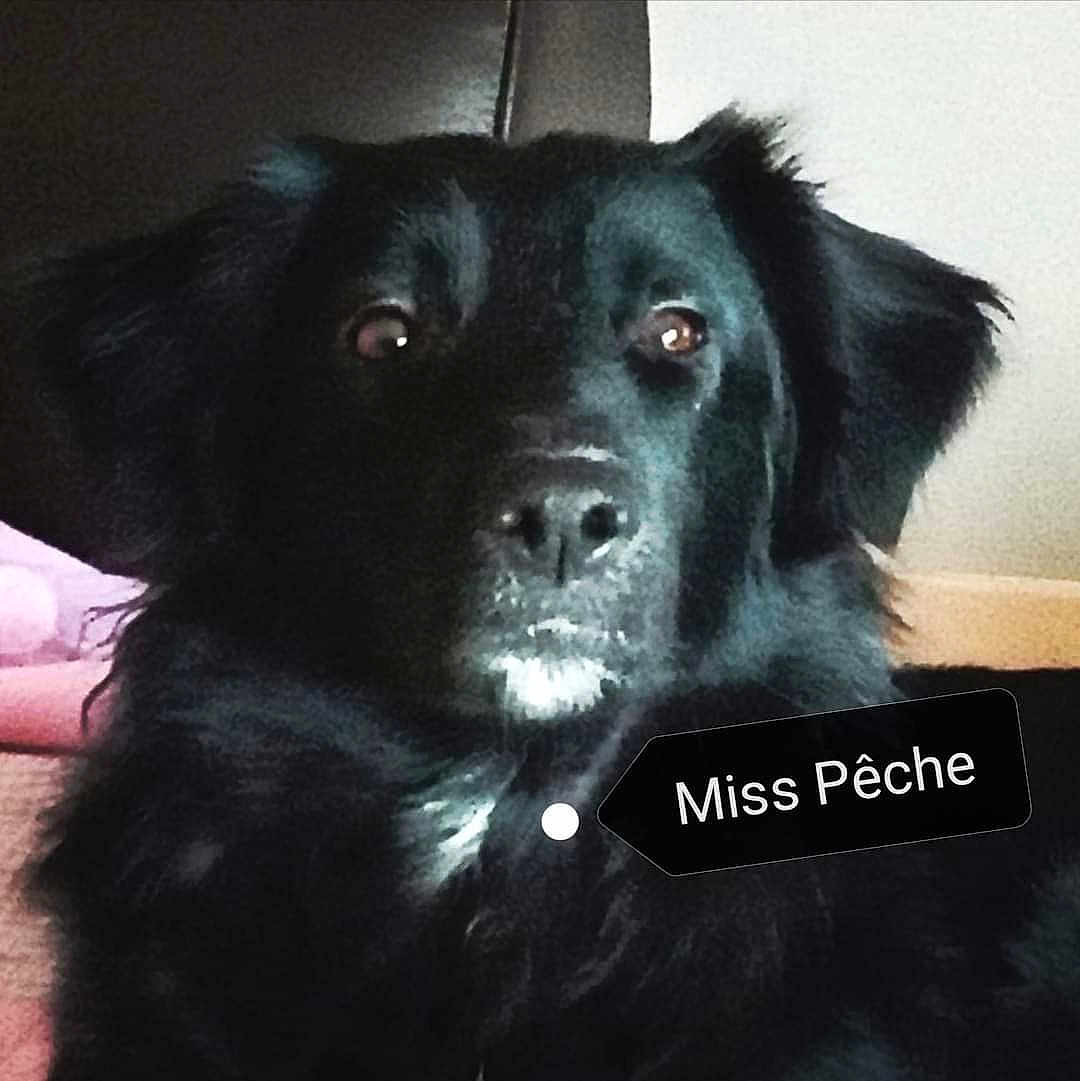 Pêche