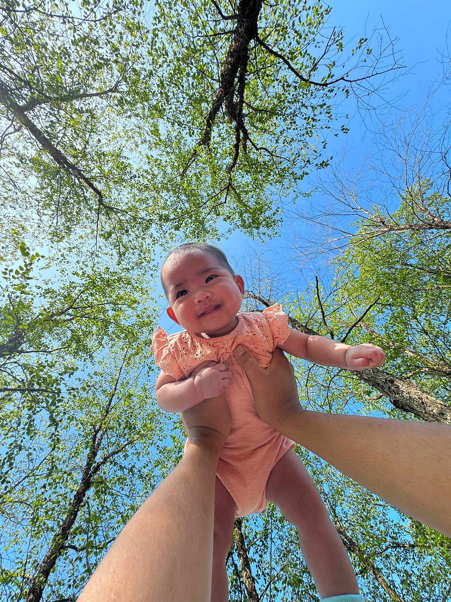 Olivia is registered to the contest to win money with this photo: baby, child, person, hands, tree, sky, blue_sky, green_leaves, outdoor, nature, smiling, cute, infant, arms, holding, sunlight, daylight, happy, portrait, baby_clothing