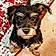 Lucy