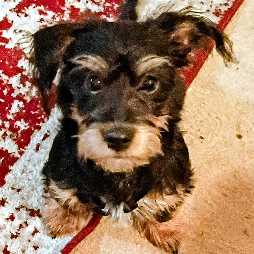 Lucy