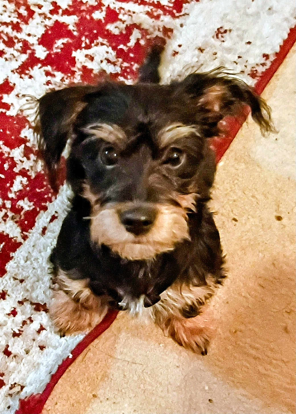 Lucy