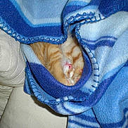 Dusse participe au concours pour gagner de l'argent avec cette photo :