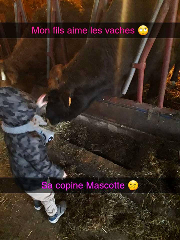 Ethan participe au concours pour gagner de l'argent avec cette photo : companion_dog, dog_breed, natural_material, person, photo_caption, sneakers, stairs, walking_shoe