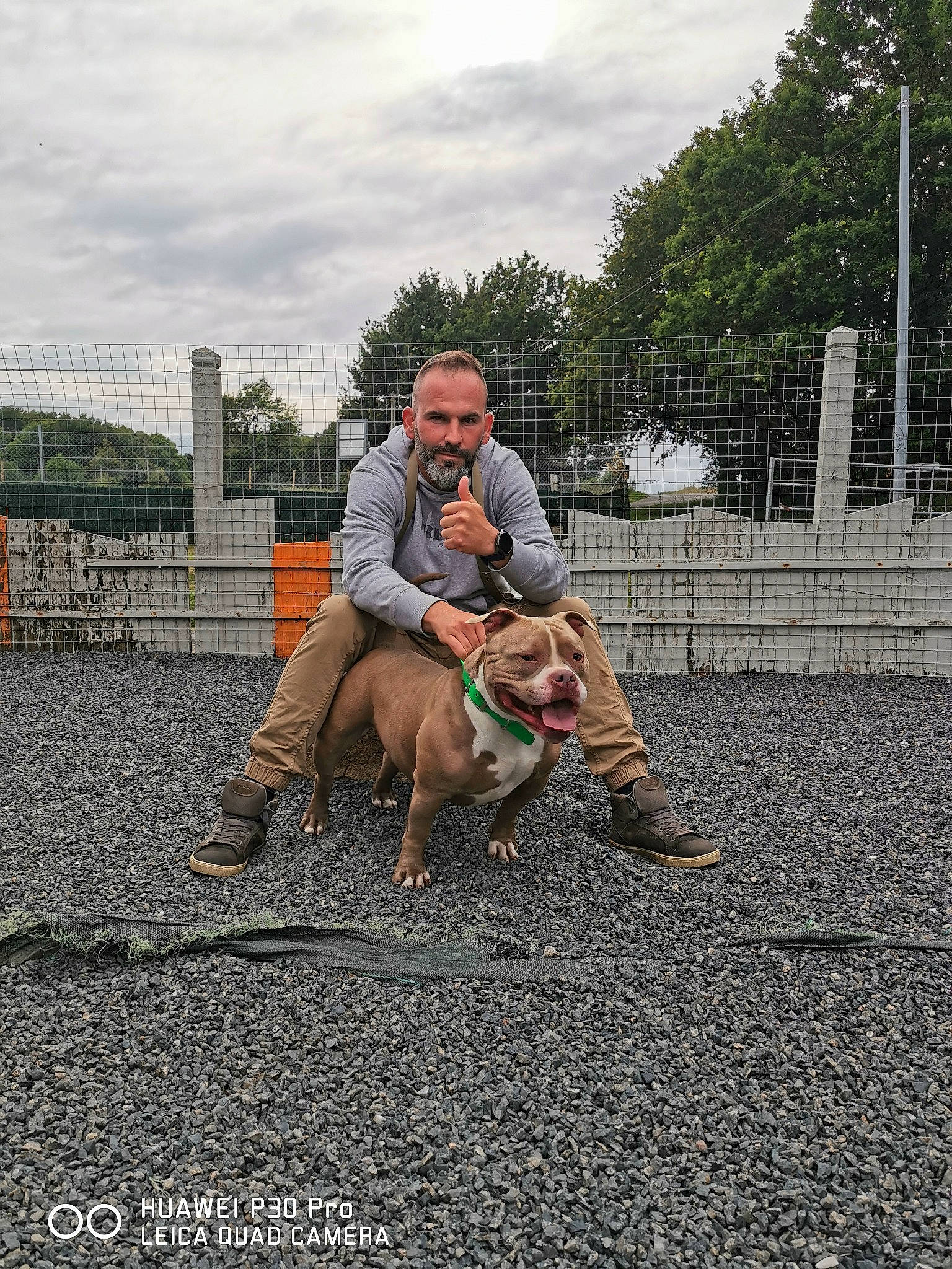 Monster a rejoint le concours — aidez-le/la à gagner de superbes lots ! asphalt, canidae, carnivore, city, cloud, companion_dog, dog, dog_breed, fawn, grass, leash, leisure, road, road_surface, shoe, sidewalk, sky, sneakers, sporting_group, tree