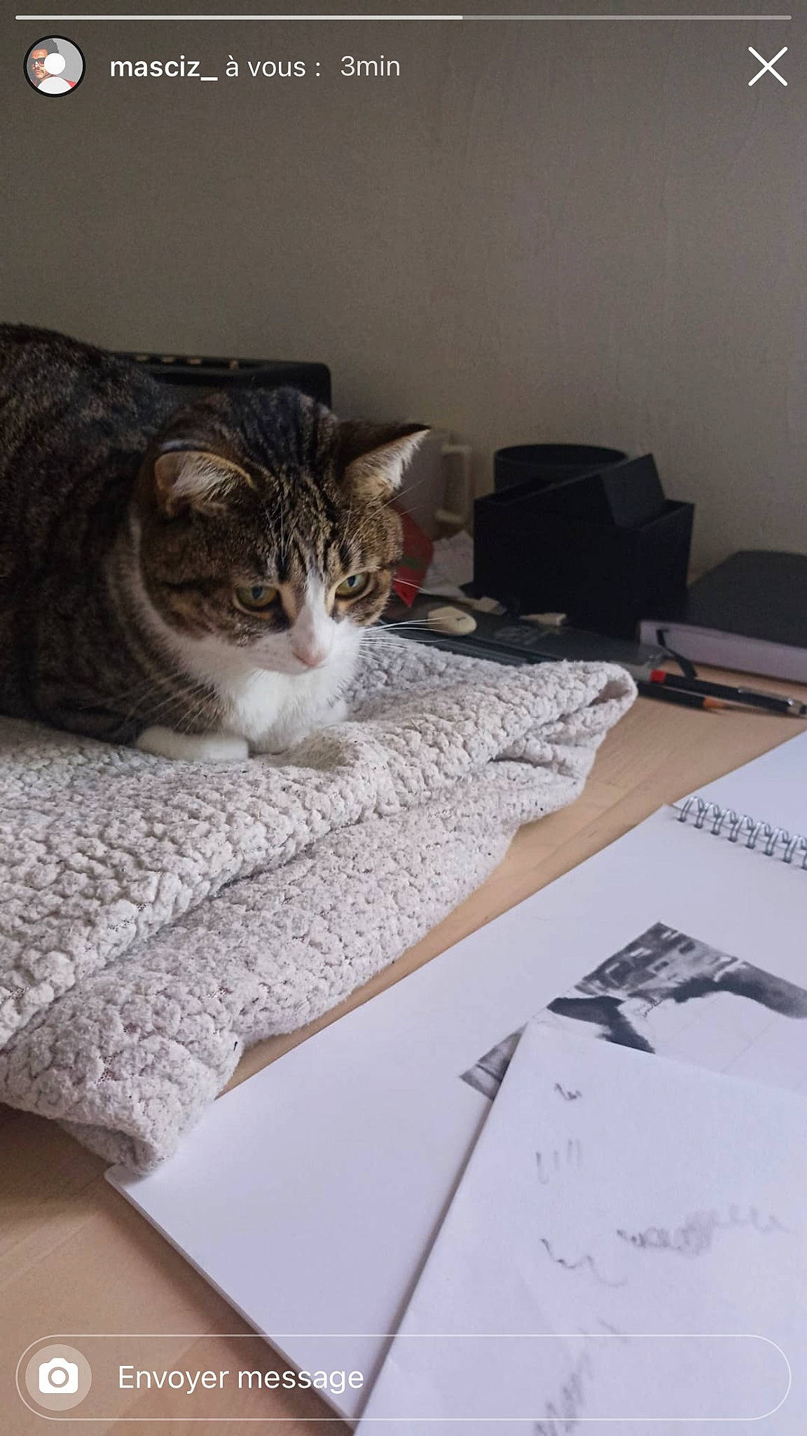 Pipoune a rejoint le concours — aidez-le/la à gagner de superbes lots ! art, carnivore, cat, comfort, domestic_short_haired_cat, felidae, floor, flooring, fur, handwriting, linens, office_supplies, room, small_to_medium_sized_cats, stationery, tail, whiskers, wood, writing, writing_implement