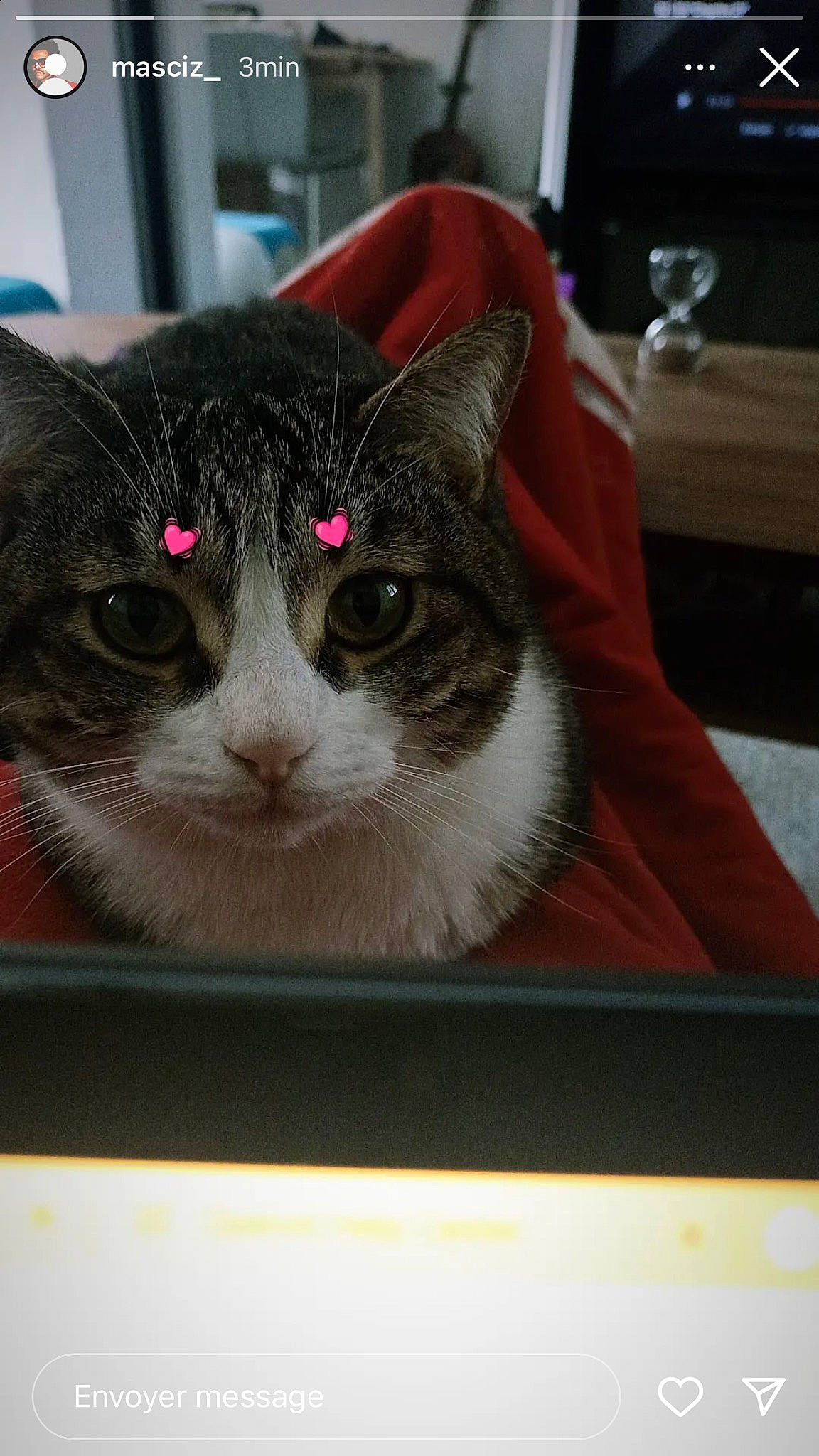 Pipoune participe au concours pour gagner de l'argent avec cette photo : box, carnivore, cat, cat_furniture, cat_supply, domestic_short_haired_cat, felidae, fur, pet_supply, rectangle, room, small_to_medium_sized_cats, snout, whiskers, window, wood