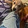 Rosco
