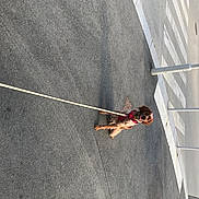 Sparrow participe au concours pour gagner de l'argent avec cette photo : adventure, asphalt, building, climbing, climbing_harness, concrete, event, facade, plant, public_utility, recreation, road_surface, rock_climbing_equipment, rope, slope, sport_climbing, tree, wall, wire, wood