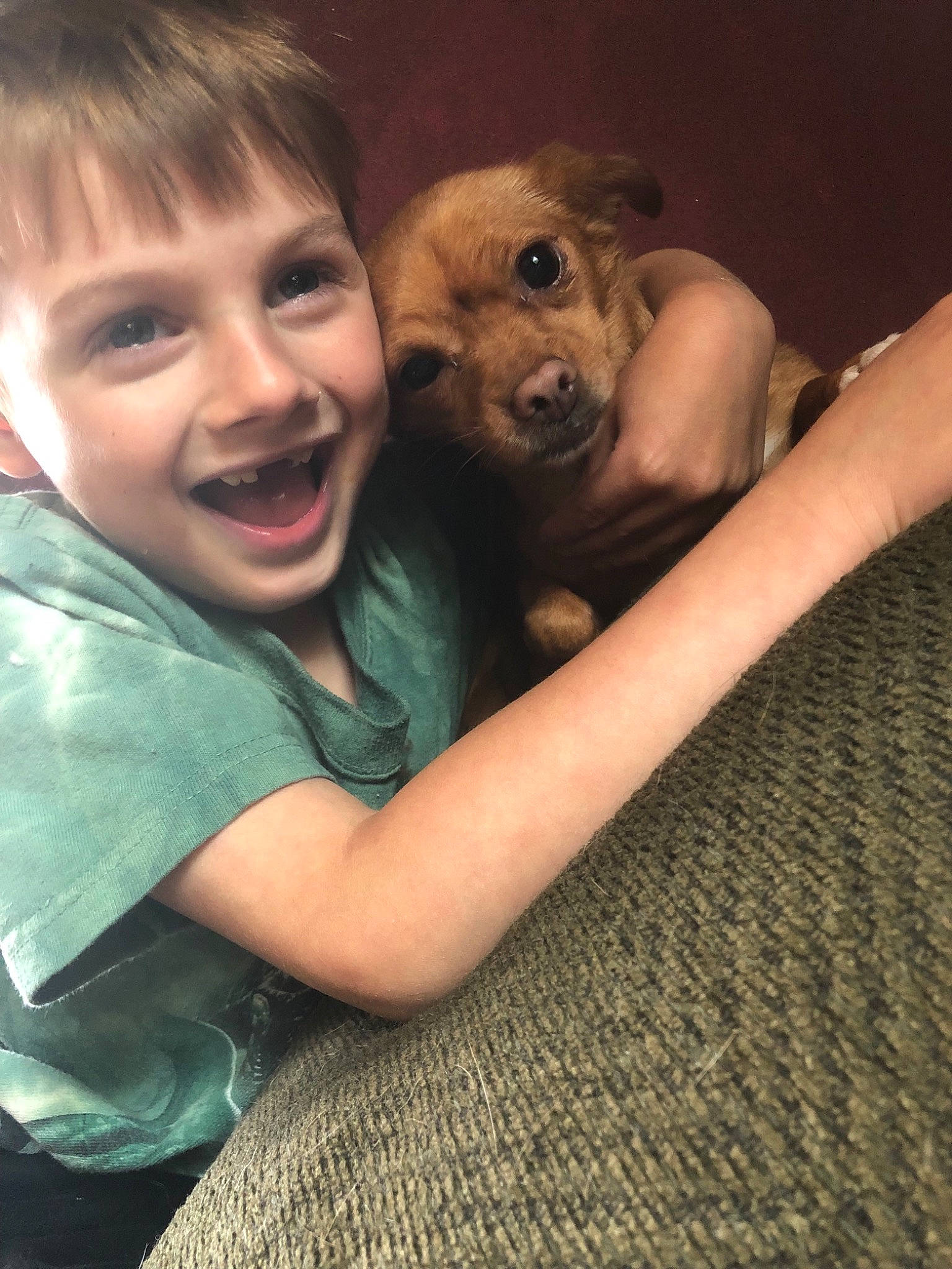 Caiden joined the competition — help win amazing prizes! canidae, carnivore, child, companion_dog, dog, dog_breed, fawn, fun, joy, person, photography, puppy, puppy_love, selfie, smile, sporting_group