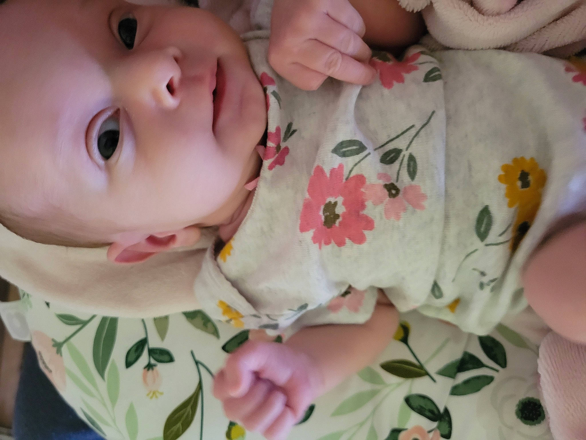 Juliette is registered to the contest to win money with this photo: arm, baby_toddler_clothing, cheek, dress, eye, eyelash, face, facial_expression, hand, head, lip, mouth, neck, nose, person, petal, product, skin, sleeve, textile