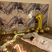 William participe au concours pour gagner de l'argent avec cette photo : baby, angel, candles, balloons, blanket, bed, number_one, feathers, open_book, gold, decorations, soft, sleeping, celebration, cozy, birthday, infant, white_clothing, marble_wall, lighting