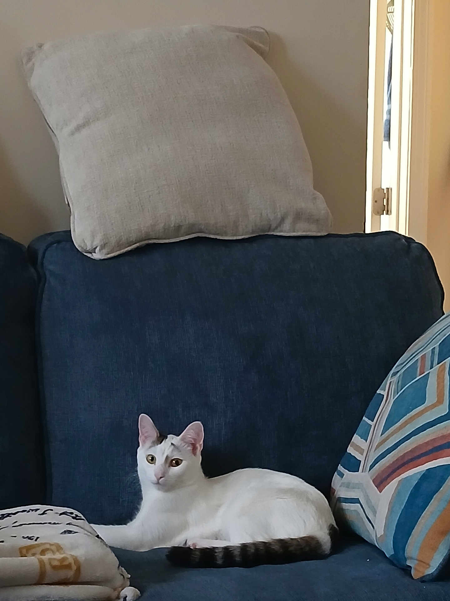 Koko