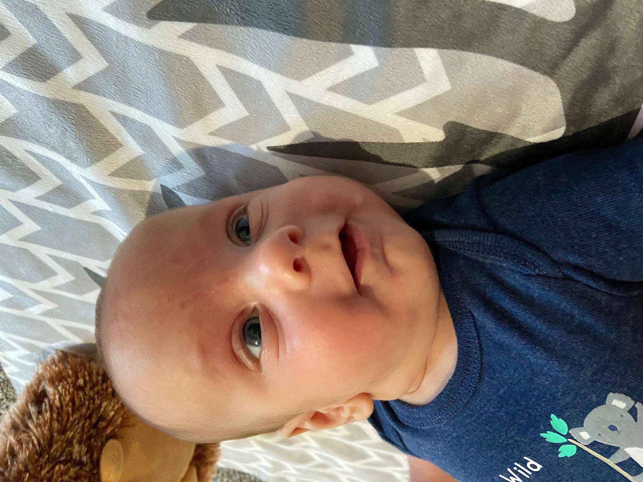 Gunner is registered to the contest to win money with this photo: baby, cheek, child, chin, ear, eye, face, head, lip, mouth, nose, person, skin, toddler