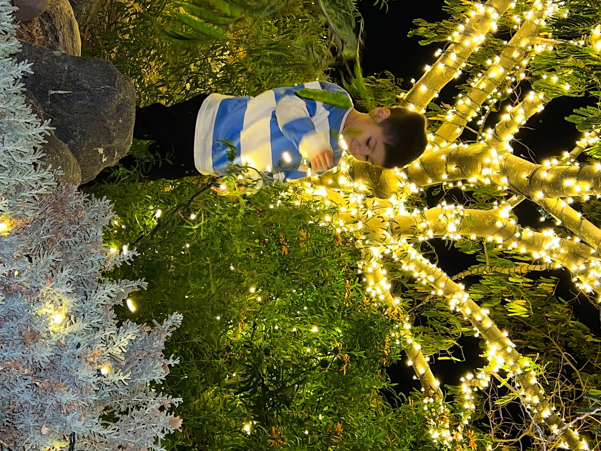 Julius is registered to the contest to win money with this photo: biome, christmas_ornament, conifer, electric_blue, event, evergreen, fun, garden, grass, groundcover, holiday, landscape, people_in_nature, person, plant, shrub, spring, sunlight, terrestrial_plant, vegetation