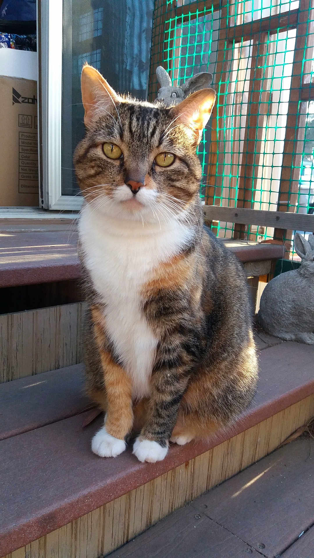 Bella