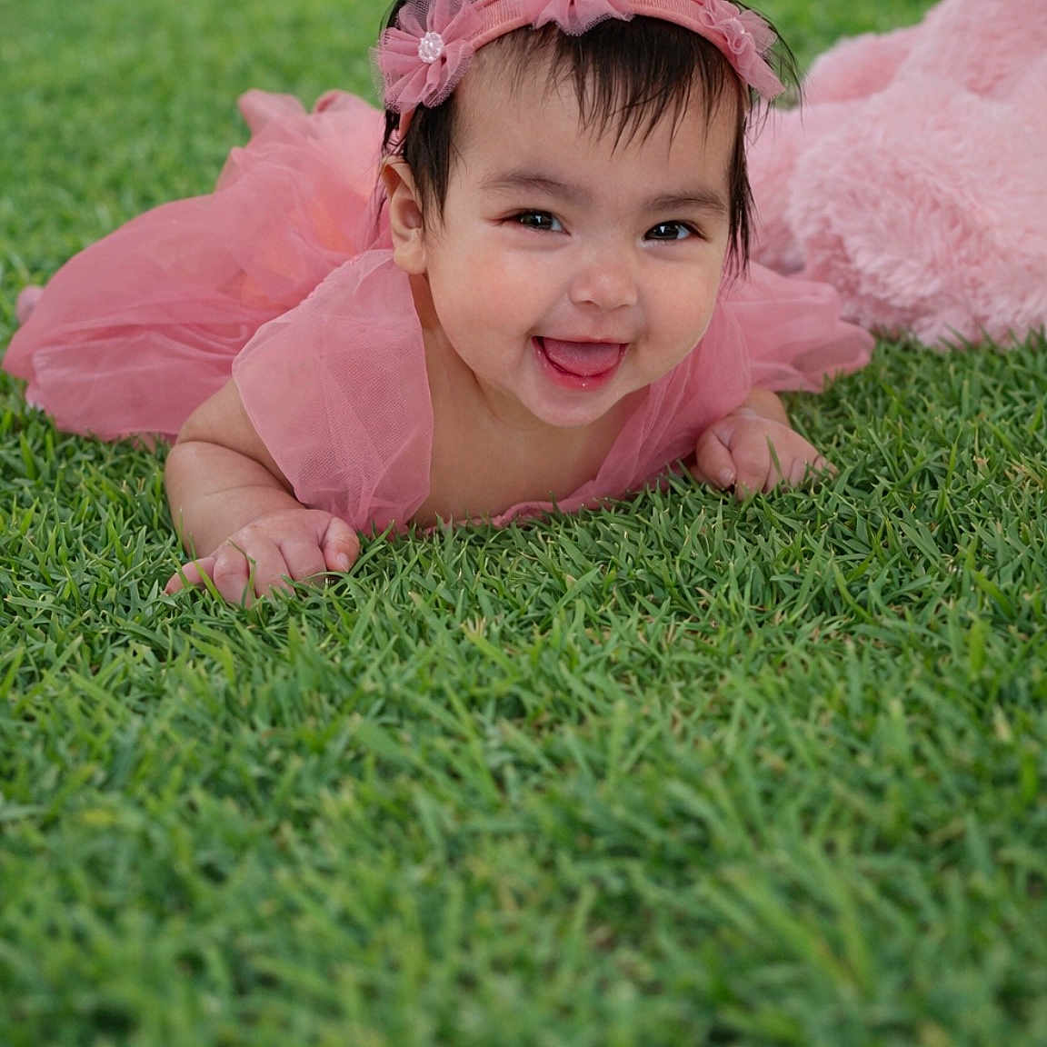 Amaya joined the competition — help win amazing prizes! adorable, baby, bow, cheeks, closeup, crawling, eyes, grass, happy, headband, infant, natural_light, outdoor, pink_dress, plush_toy, portrait, smile, toddler, tongue, tutu