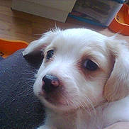 Victoire participe au concours pour gagner de l'argent avec cette photo :