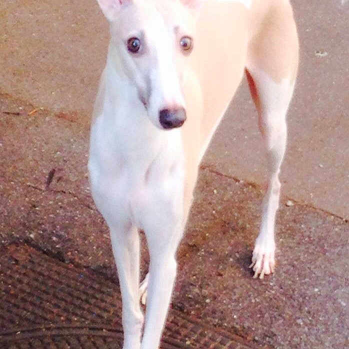 Edy a rejoint le concours — aidez-le/la à gagner de superbes lots !