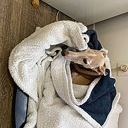 Edy participe au concours pour gagner de l'argent avec cette photo : art, bag, beige, collar, comfort, fashion_accessory, fashion_design, fur, fur_clothing, grey, linens, pattern, scarf, shawl, sleeve, stole, visual_arts, wood, wool, woven_fabric