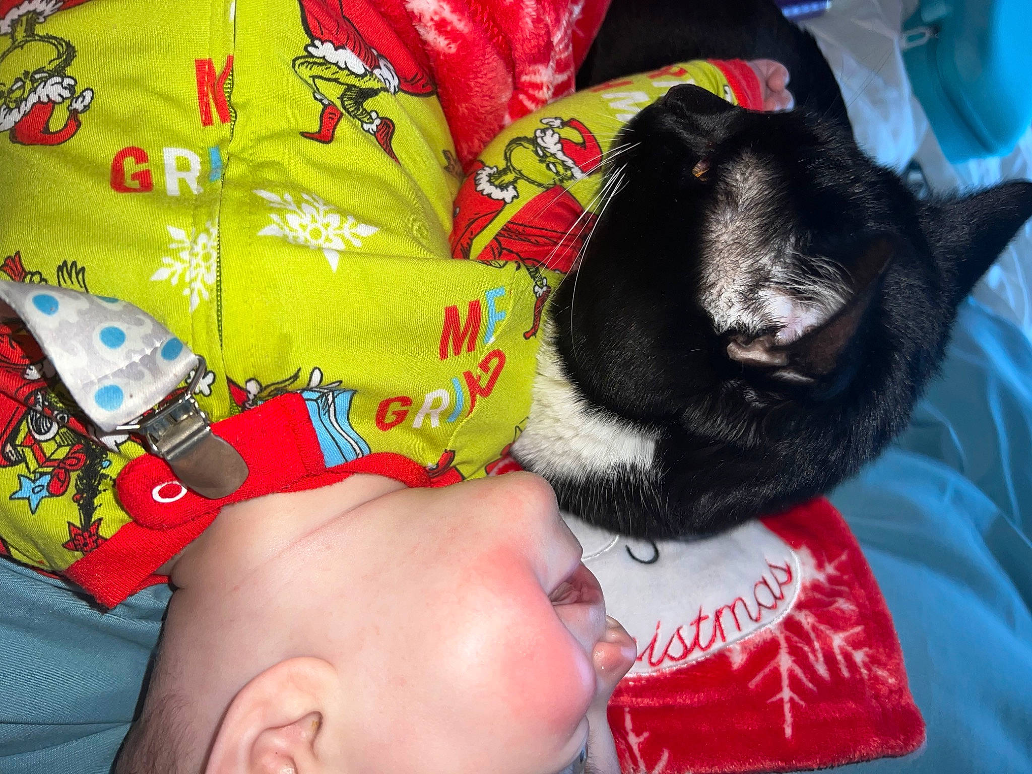 Lakelynn is registered to the contest to win money with this photo: carmine, carnivore, chest, companion_dog, fashion_accessory, fictional_character, finger, flesh, fur, human_leg, linens, nail, pattern, person, plastic, plush, stuffed_toy, thigh, toy, wrist