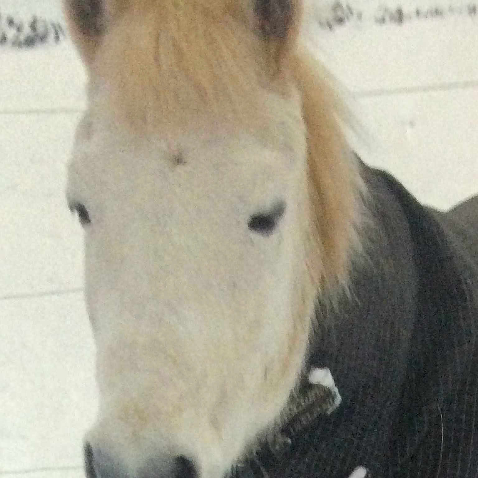 Fonz is registered to the contest to win money with this photo: