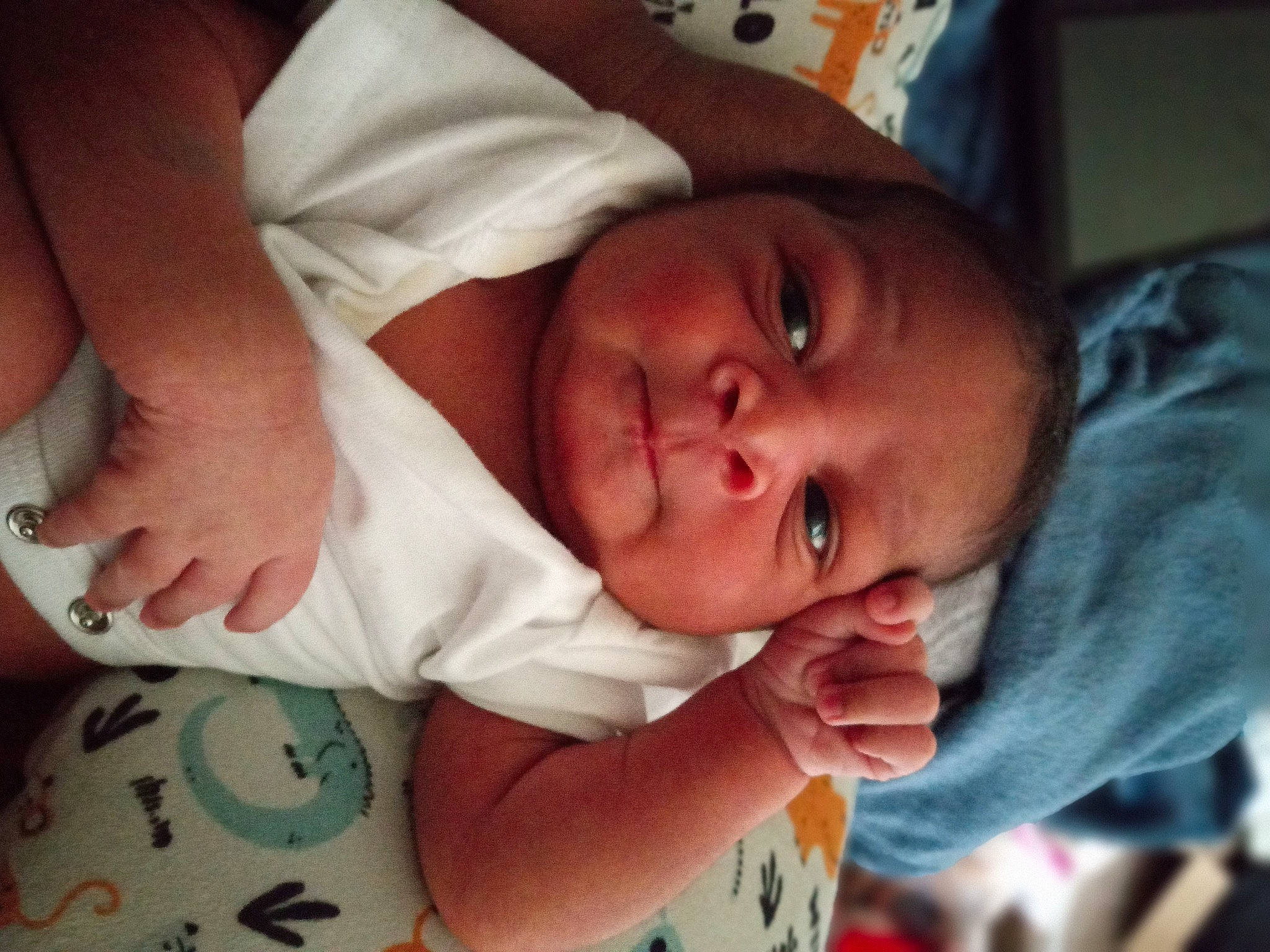 John is registered to the contest to win money with this photo: baby, baby_toddler_clothing, cheek, chin, comfort, eye, eyebrow, finger, gesture, hand, happy, head, iris, lip, mouth, nose, person, skin, sleeve, thumb