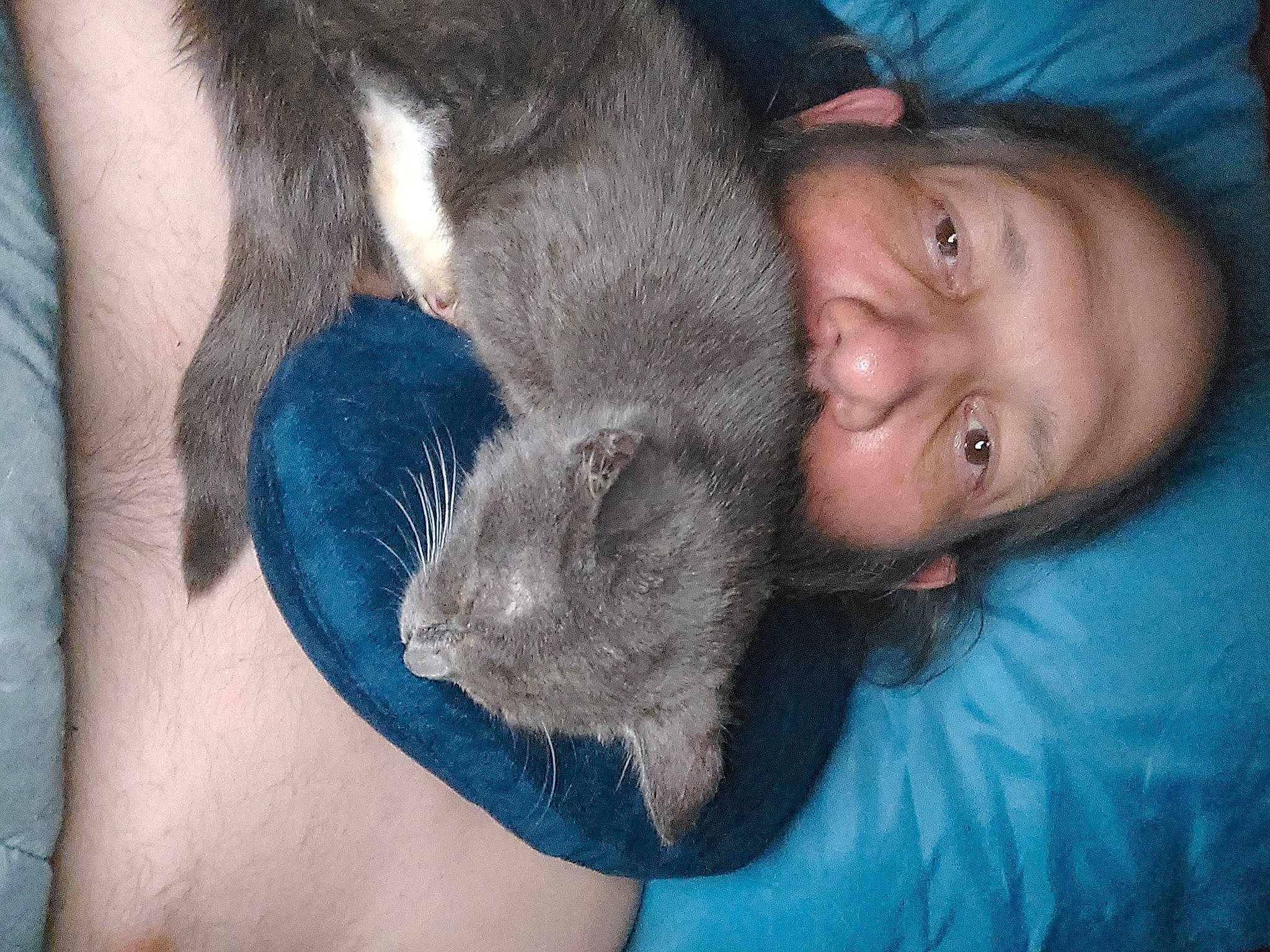 Junkyard joined the competition — help win amazing prizes! blue, carnivore, comfort, companion_dog, dog_breed, ear, fawn, felidae, finger, fur, gesture, happy, koala, nose, skin, small_to_medium_sized_cats, smile, snout, toy, whiskers