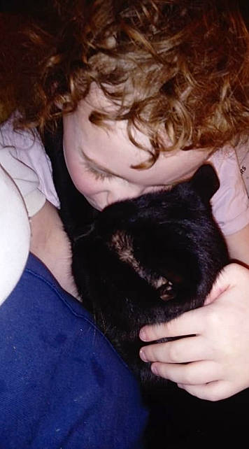 Rio joined the competition — help win amazing prizes! carnivore, cat, cheek, comfort, ear, eye, eyebrow, felidae, forehead, gesture, hair, hand, head, mammal, mouth, neck, nose, shoulder, skin, vertebrate