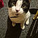 Sooky