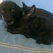 Maya participe au concours pour gagner de l'argent avec cette photo :