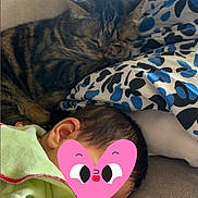 Pirate a rejoint le concours — aidez-le/la à gagner de superbes lots ! baby, cat, tabby_cat, sleeping, pillow, pattern, blue, white, green_clothing, red_cuff, resting, indoor, soft_surface, cozy, cute, peaceful, closeup, nap, child, animal