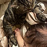 baby, bed, cat, closeup, comfort, cuddle, curious, fur, hand, indoor, infant, peaceful, reaching, resting, silk_sheets, skin, sleeping_cat, soft_toy, tabby_cat, toy