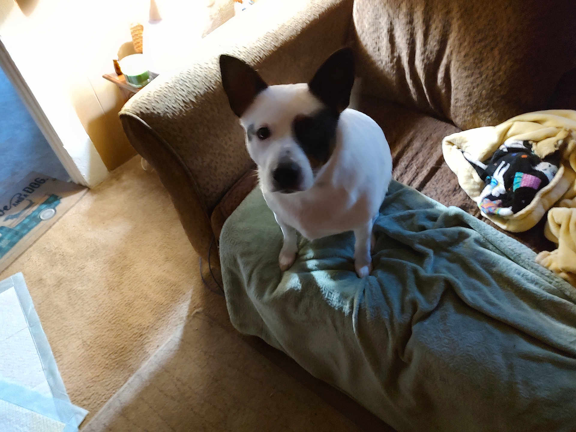 Axel
