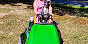 Buddy is registered to the contest to win money with this photo: black_and_white_dog, casual_clothing, daytime, dog, grass, green, happy, lawnmower, nature, outdoor, park, pet, recreation, road, smile, summer, sunny, tree, vehicle, woman
