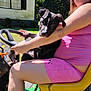 activewear, black_dog, casual, daylight, dog, green_grass, holding, house, lawn_tractor, nature, outdoor, pet, pink_clothing, puppy, shorts, smiling, steering_wheel, white_markings, woman, yellow_seat