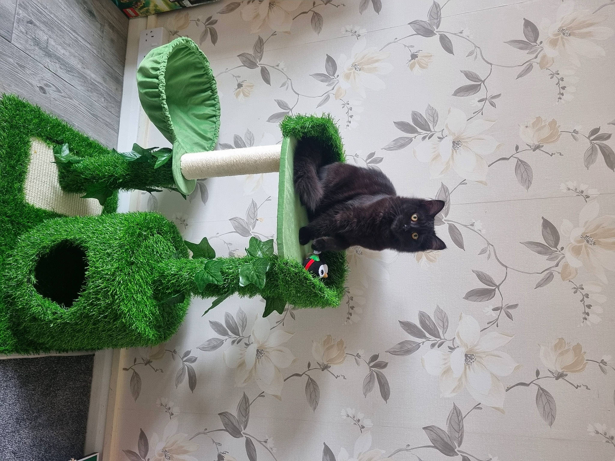 Winnie joined the competition — help win amazing prizes! art, carnivore, cat, craft, creative_arts, fashion_accessory, felidae, glove, grass, linens, organism, pattern, plant, small_to_medium_sized_cats, symbol, tail, toy, wool, woven_fabric