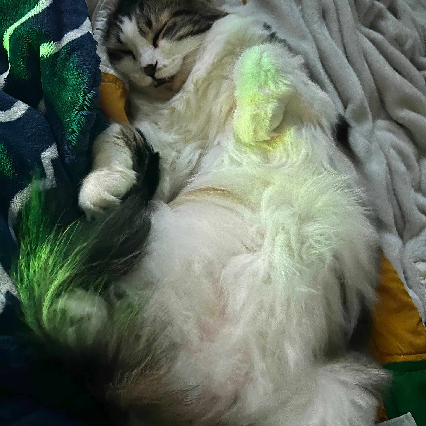 Luna