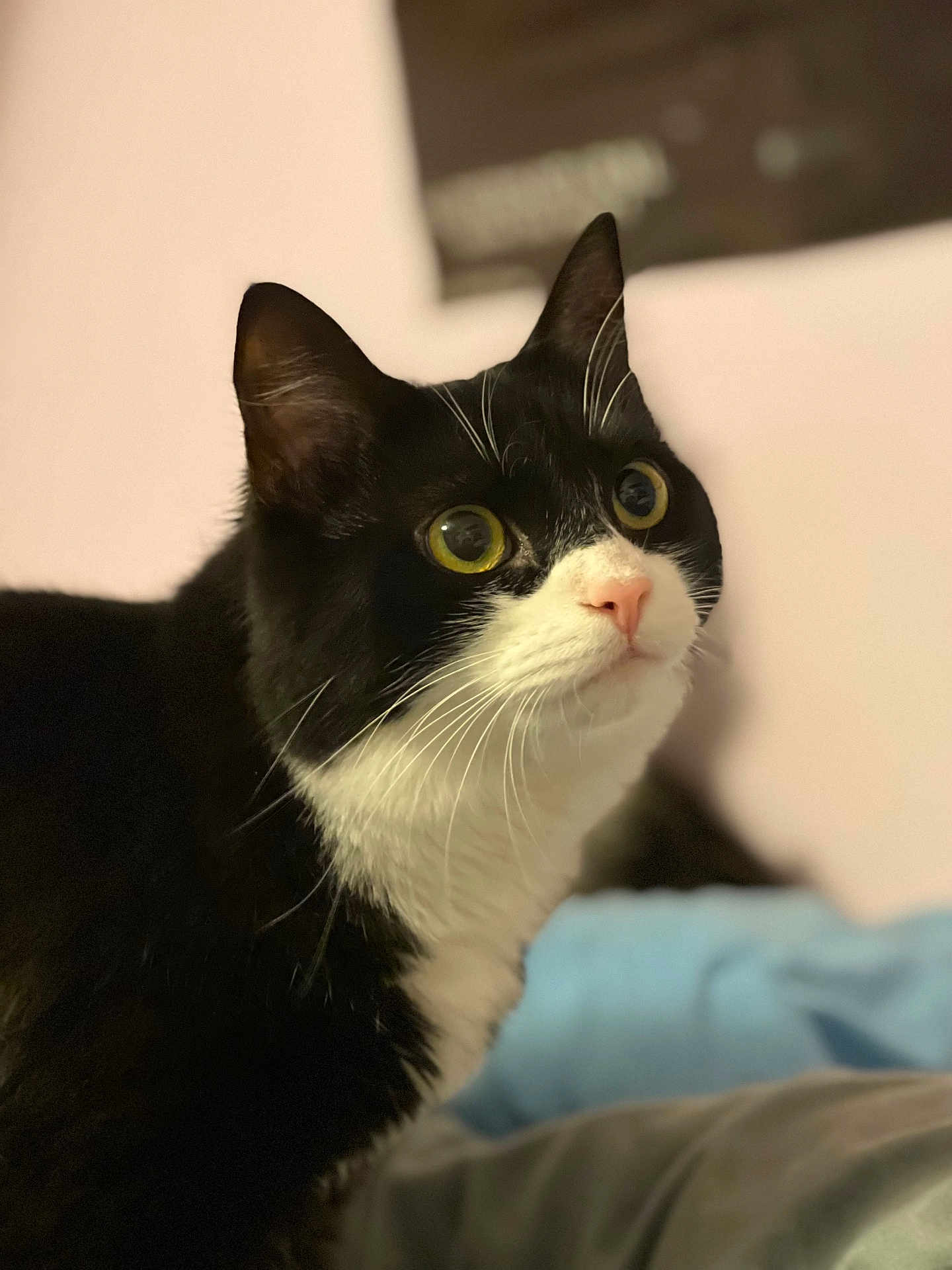 Nyx