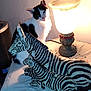 animal, black_and_white, cat, contrast, curious, decor, furniture, home, indoor, lamp, lighting, pet, quiet, still_life, striped, table, vintage_lamp, white_cloth, wooden_sculpture, zebra_sculpture