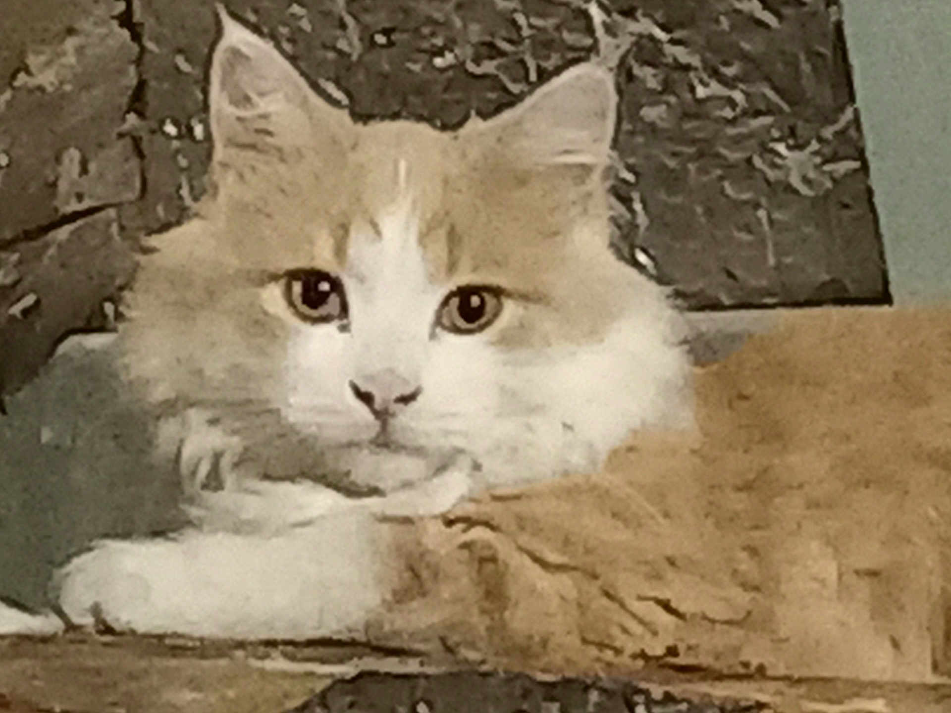 Roky