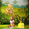 baby, background, birthday_cake, cake, cartoon, celebration, child, clothing, decor, floor, grass, happy, milestone, onesie, party, sitting, smile, toy, winnie_the_pooh, yellow