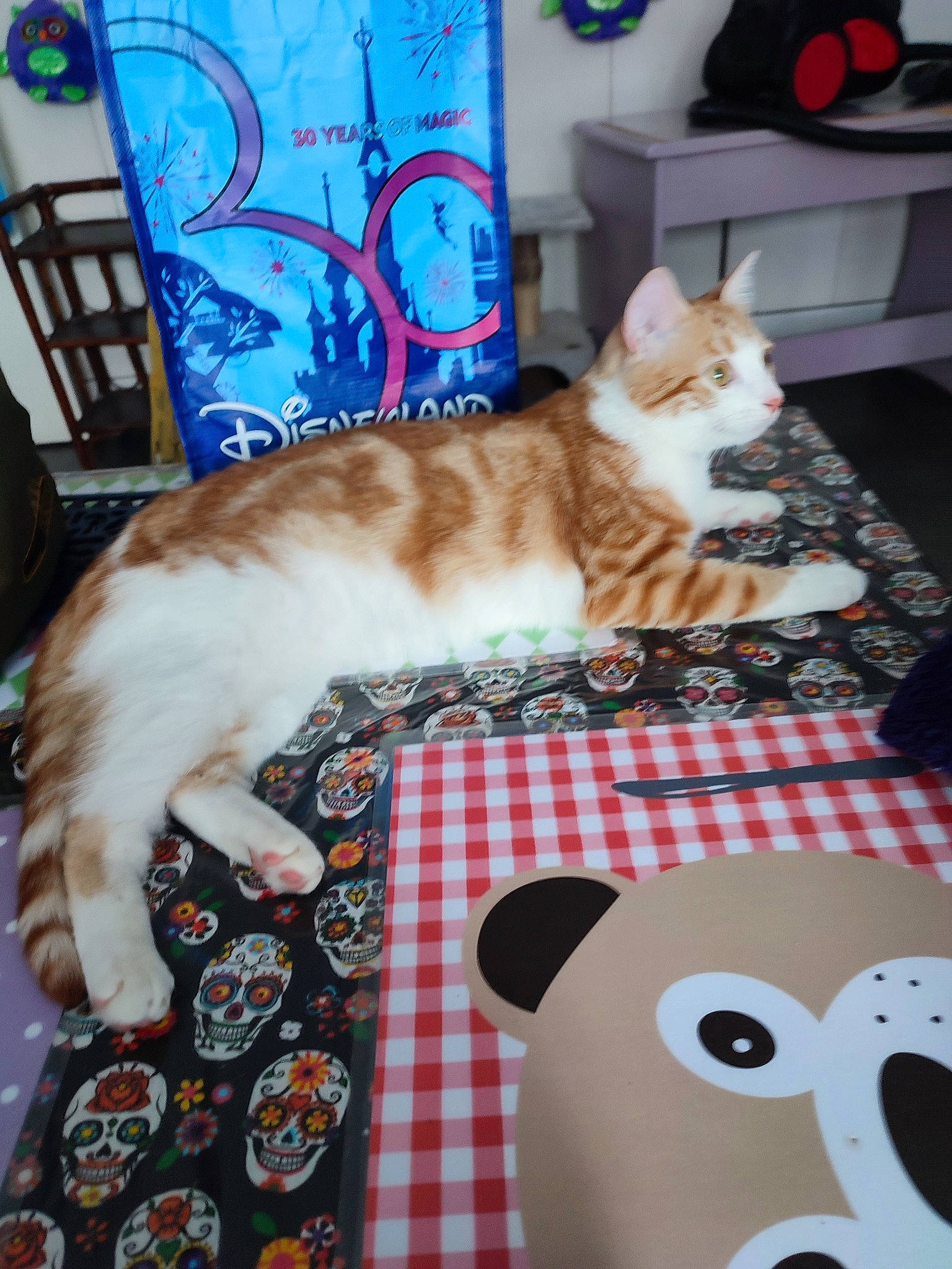 Namy participe au concours pour gagner de l'argent avec cette photo : blue, carmine, carnivore, cat, comfort, domestic_short_haired_cat, fawn, felidae, fur, linens, mammal, pattern, room, small_to_medium_sized_cats, stuffed_toy, tail, toy, vertebrate, whiskers, white