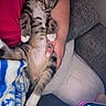 blanket, cat, comfort, cozy, cushion, domestic_animal, fur, hand, indoor, kitten, nap, paw, person, relaxed, resting, sleeping, sofa, striped, tabby, white_paw