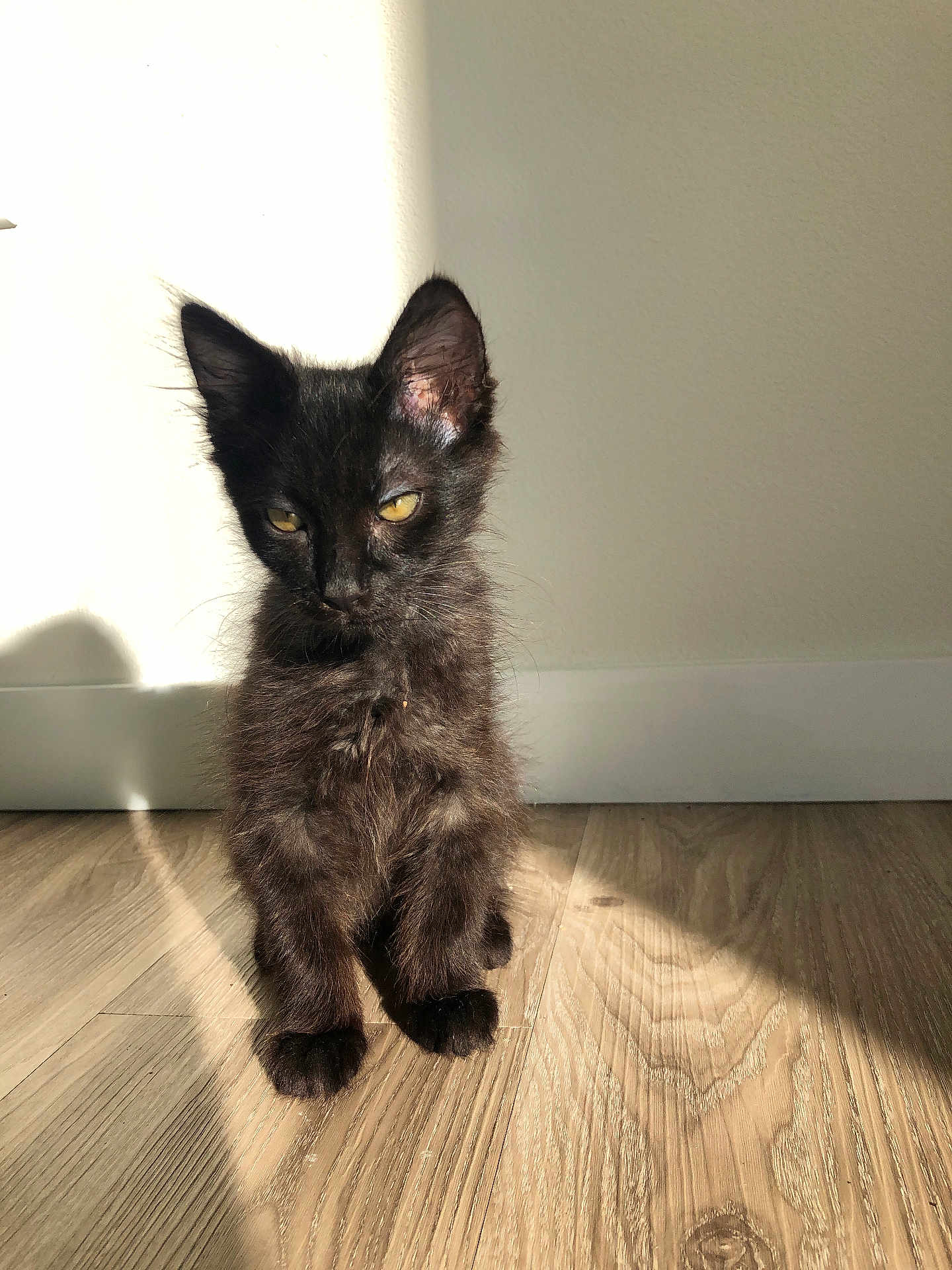 Zuko